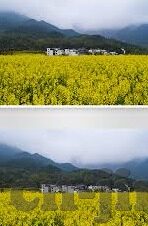 91麻豆果冻传媒天美蜜桃-91麻豆果冻传媒天美蜜桃，揭开数字时代内容生态的多元面纱