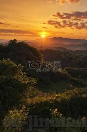 91麻豆国-探寻网络文化的多元性，91麻豆国的独特现象