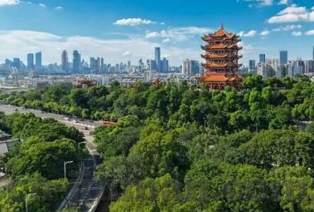 91麻豆精品国产亚洲-深入领略91麻豆-国产精品的魅力，华语世界的暖心瞬间与文化传承