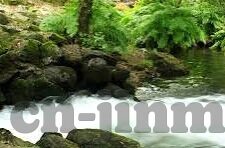麻豆视频传媒免费观看-探索视听新时代，免费观影麻豆视频传媒的无限魅力