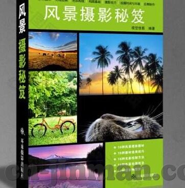 人妻沉沦-迷失在婚姻的迷雾中，人妻的沉沦与觉醒