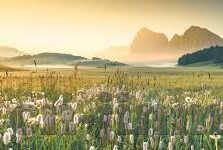 糖心app官网下载地址-重拾日常生活乐趣——探秘糖心app优质下载渠道