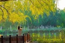 糖心vlog污ios-挖掘日常背后的独特魅力，糖心Vlog——iOS平台的创意互动体验